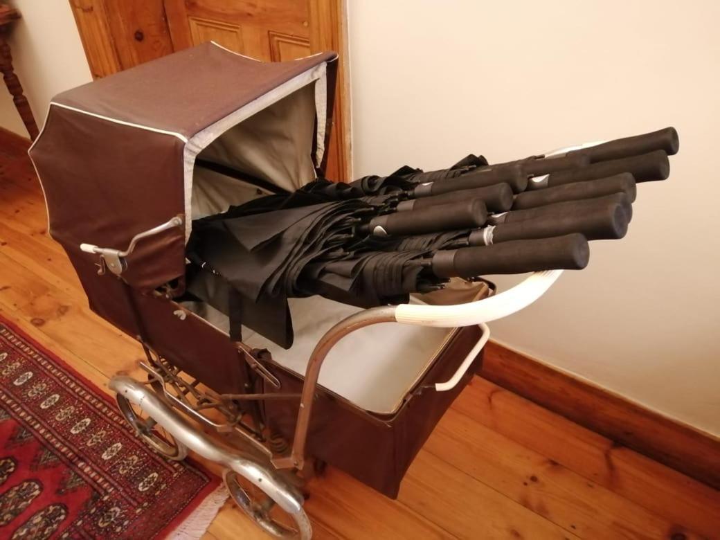Monte Rosa Guesthouse ロウソンヴル エクステリア 写真