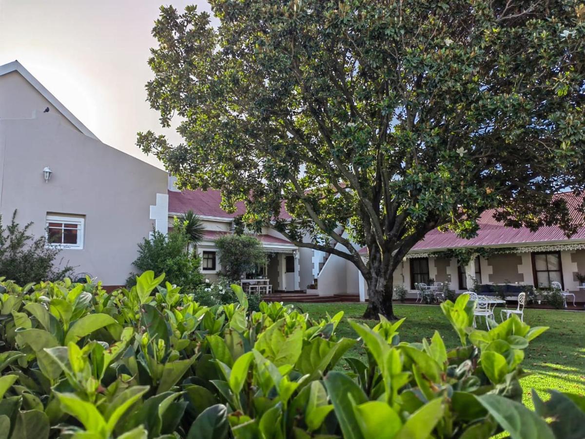 Monte Rosa Guesthouse ロウソンヴル エクステリア 写真